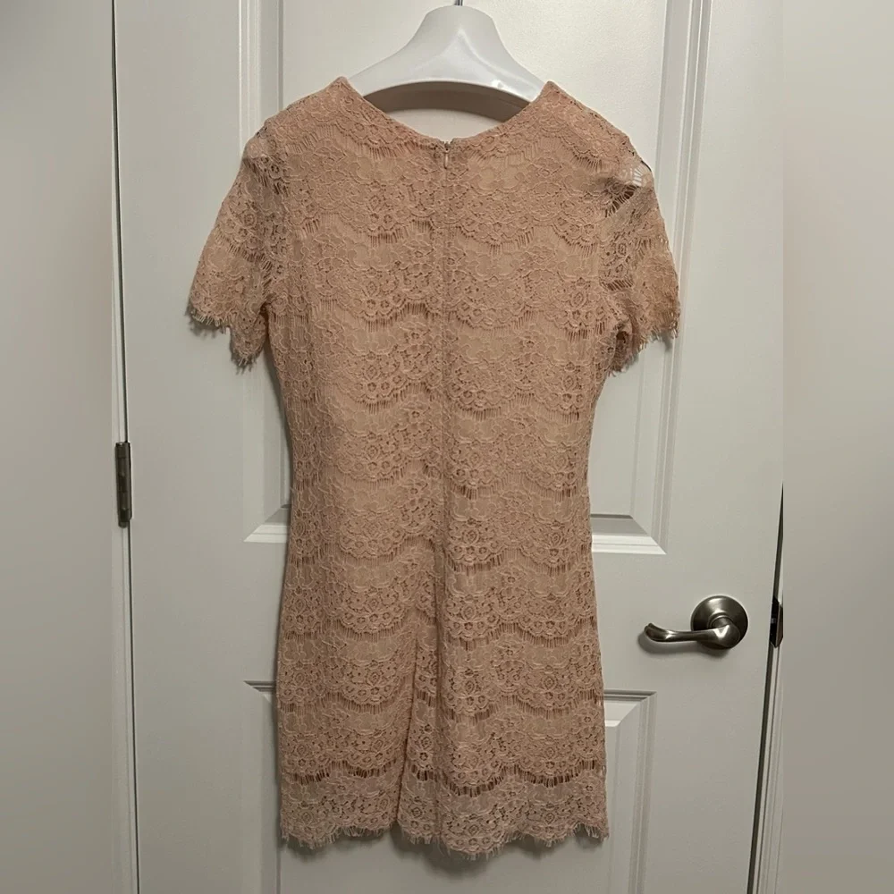 NWT Pink Lily Boutique Lace Sheath Dress, Size Medium - Picture 5 of 6